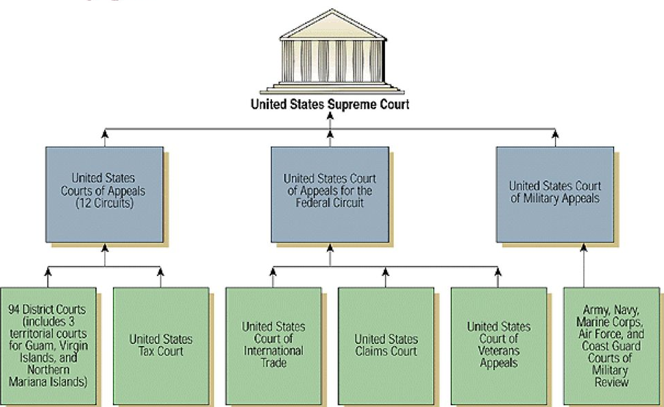 Cuanto tarda una resolución judicial